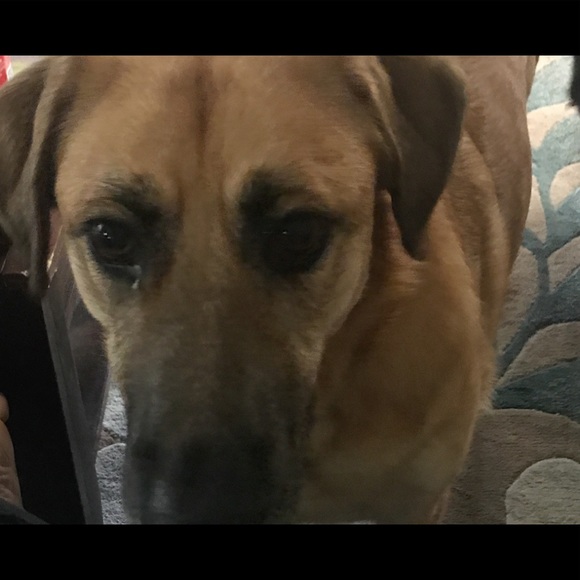 Meet your Posher, Karen - Picture 1 of 1